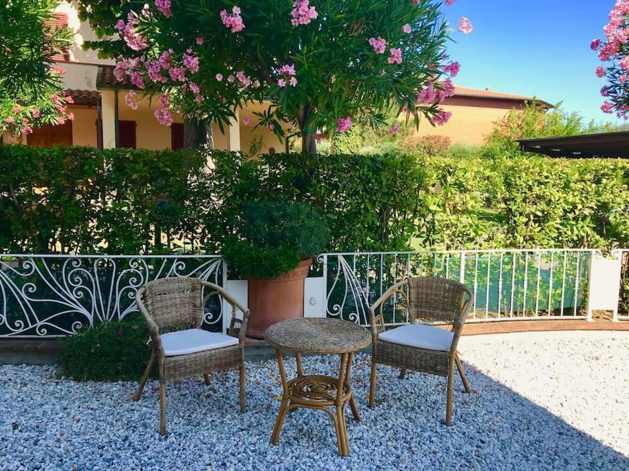 Casa La Lilla Daire Cascina Dış mekan fotoğraf